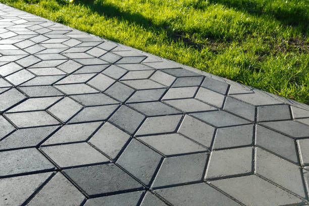 Best Local Driveway Pavers  in Edison, GA