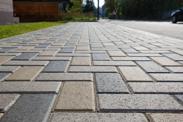 Best Residential Paver Driveway  in Edison, GA